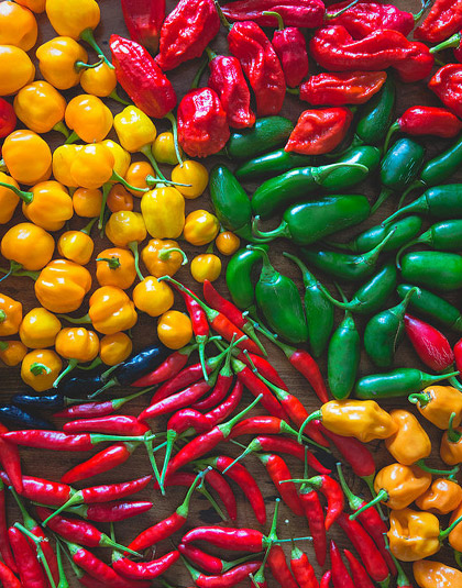 Spices in Kerala