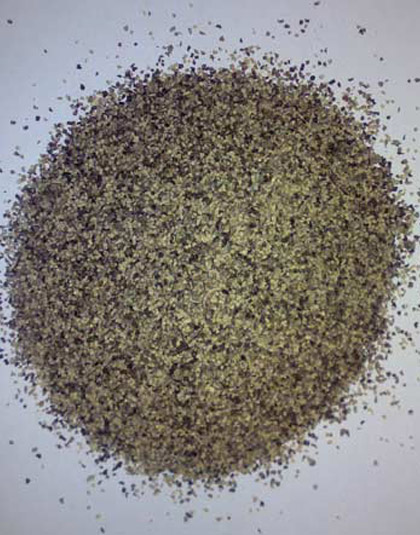Spices in Kerala